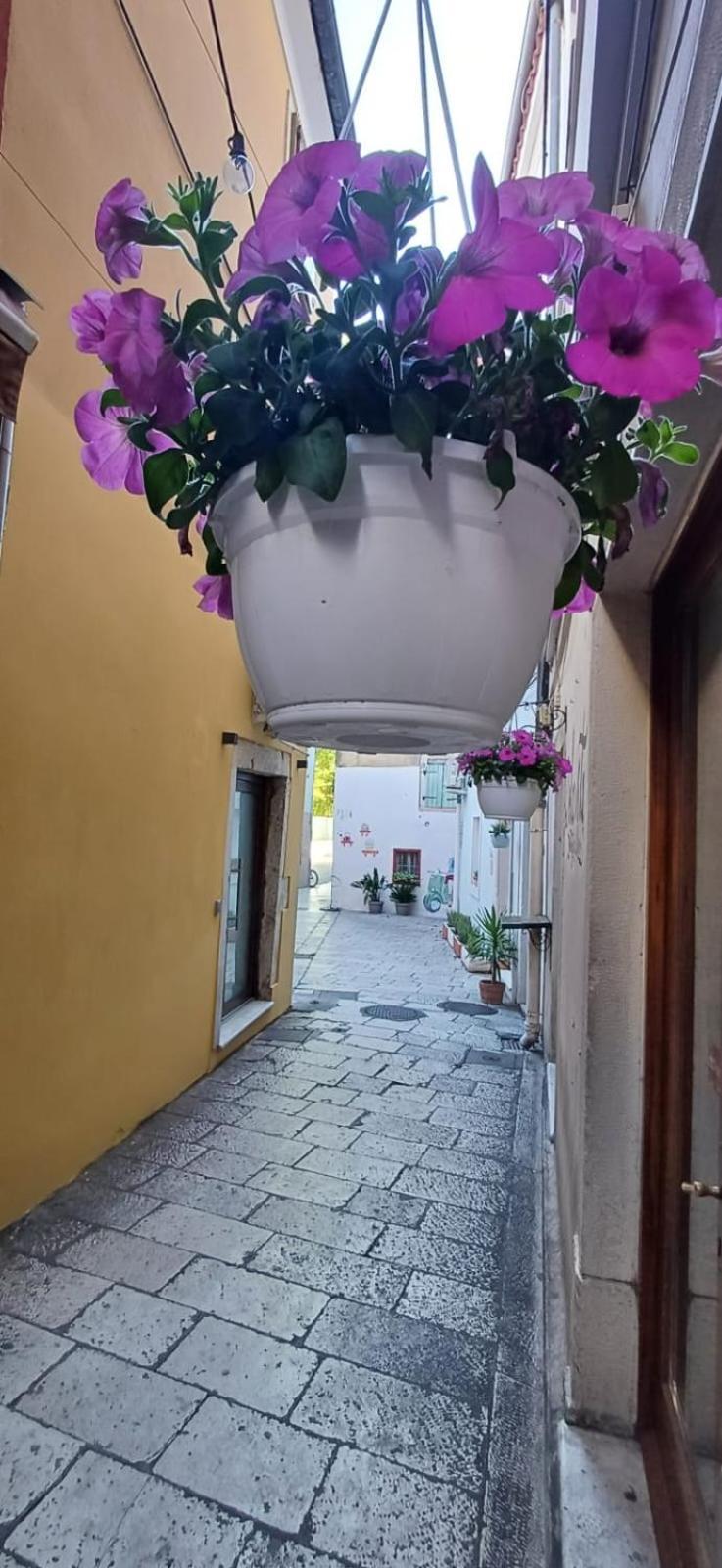 Townhouse Sea View Villa Zadar Exterior photo